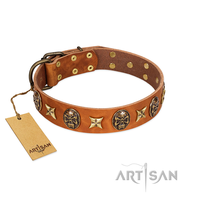 "Rockin' Doggie" FDT Artisan Tan Leather Cane Corso Collar Adorned with Stars and Skulls