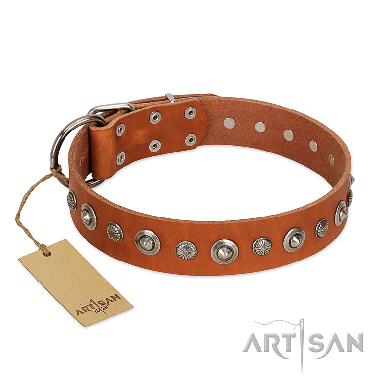 "Gorgeous Roundie" FDT Artisan Tan Leather Cane Corso Collar with Chrome-plated Circles - Click Image to Close