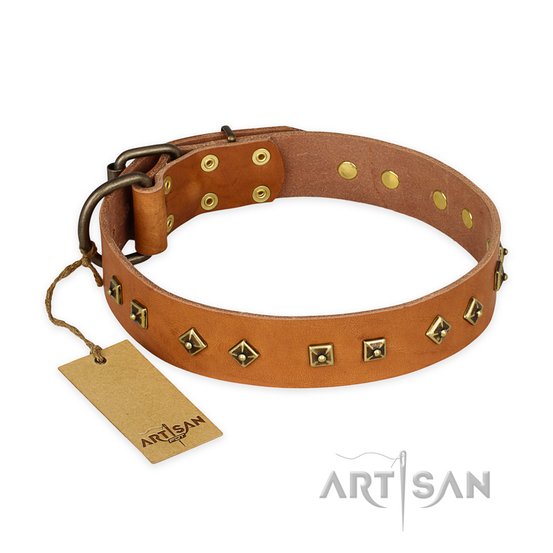"Autumn Story" FDT Artisan Leather Cane Corso Collar with Old Bronze Look Studs