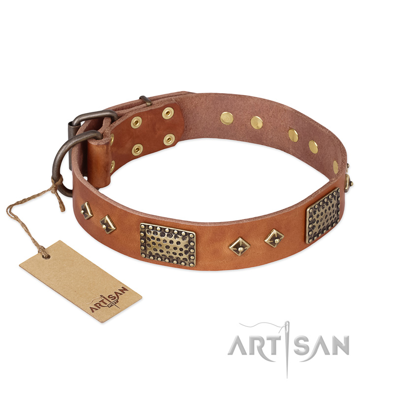 "Catchy Look" FDT Artisan Decorated Tan Leather Cane Corso Collar