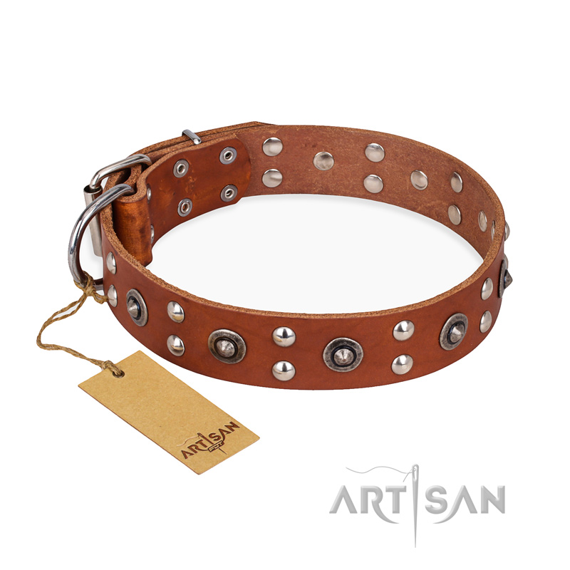 "Silver Elegance" FDT Artisan Decorated Leather Cane Corso Collar with Old Silver-Like Plated Studs and Cones