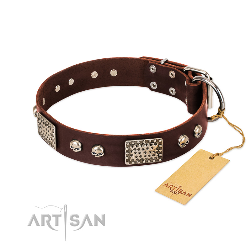 "Pirate Skull" FDT Artisan Brown Leather Cane Corso Collar with Old Silver Look Plates and Skulls
