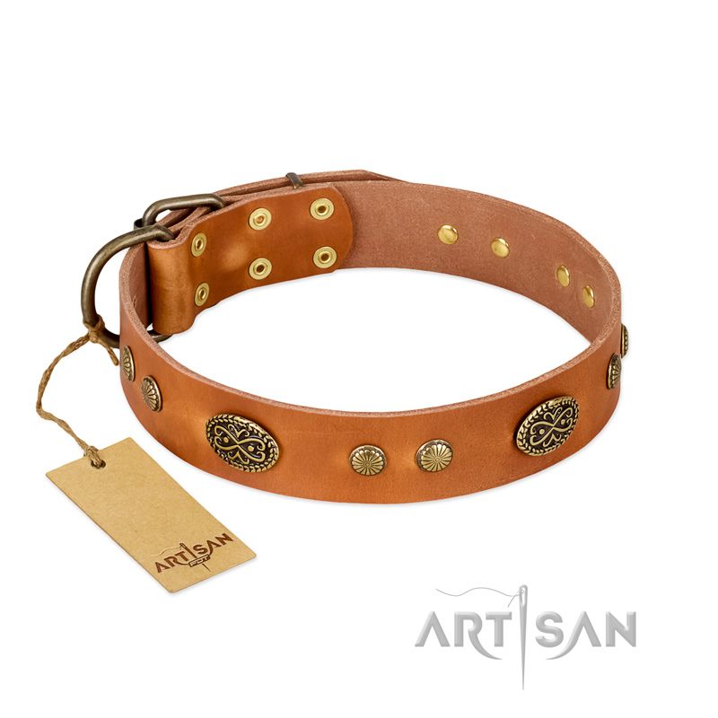 "Sun Beams" FDT Artisan Tan Leather Cane Corso Collar with Decorations