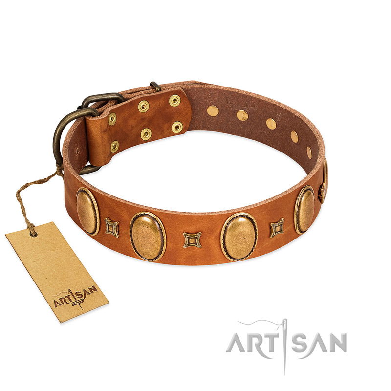 "Glossy Autumn" Designer Handmade FDT Artisan Tan Leather Cane Corso Collar with Ovals and Studs