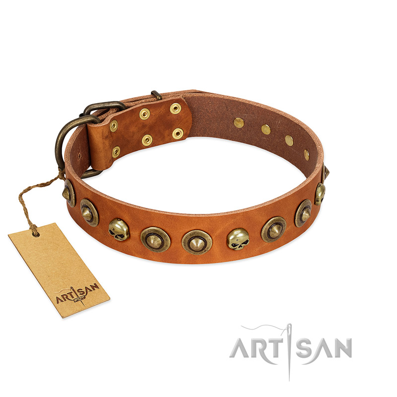 "Prez of the Pack" FDT Artisan Tan Leather Cane Corso Collar with Skulls and Brooches