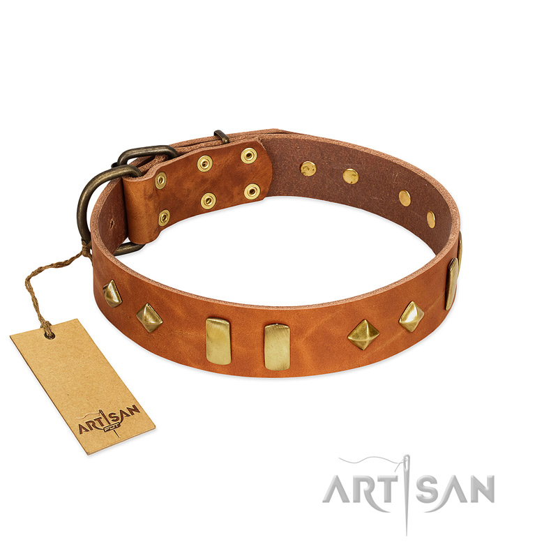 "Woofy Dawn" FDT Artisan Tan Leather Cane Corso Collar with Plates and Rhombs