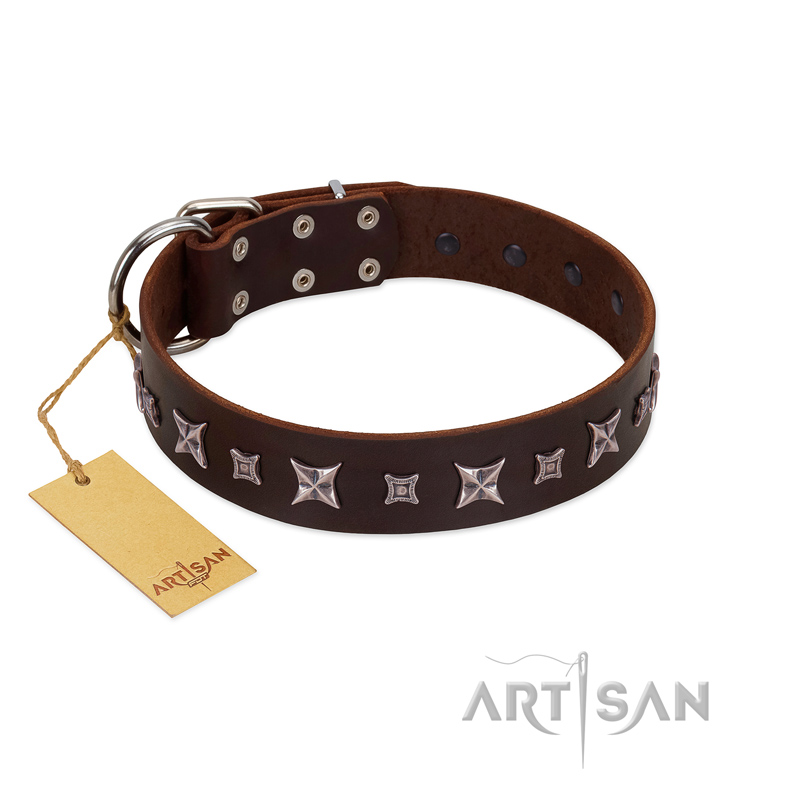"Stellar Fairy " FDT Artisan Brown Leather Cane Corso Collar with Chrome-plated Star-like Decorations