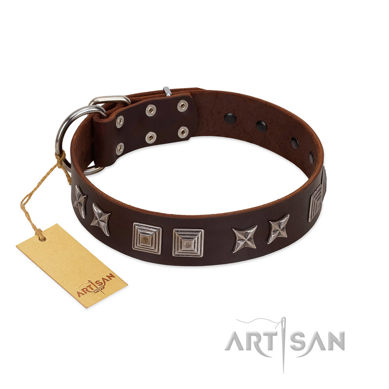"Needle Stories" Modern FDT Artisan Brown Leather Cane Corso Collar with Square Engraved Plates and Four-Point Stars