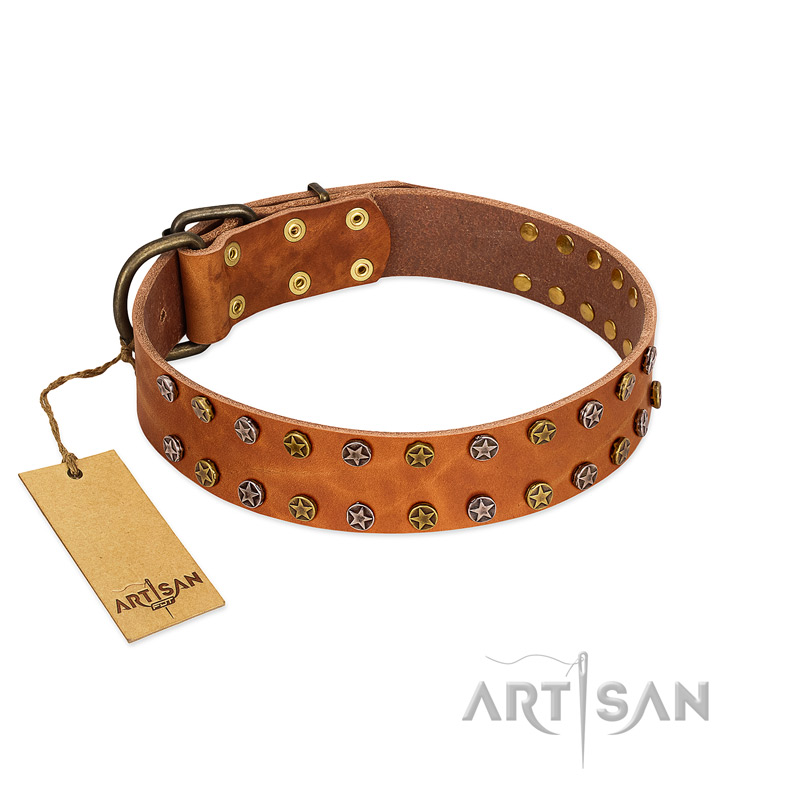 "Walk and Shine" FDT Artisan Tan Leather Cane Corso Collar with Antiqued Studs