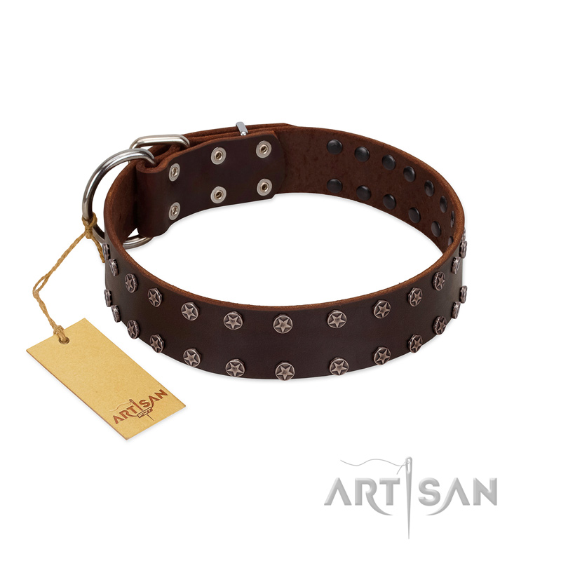 "Star Party" Handmade FDT Artisan Brown Leather Cane Corso Collar with Silver-Like Studs