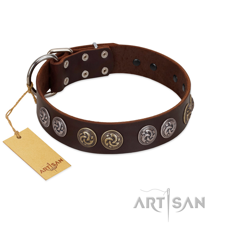 "Treasure Hunter" FDT Artisan Brown Leather Cane Corso Collar with Old-Bronze-like and Silvery Medallions