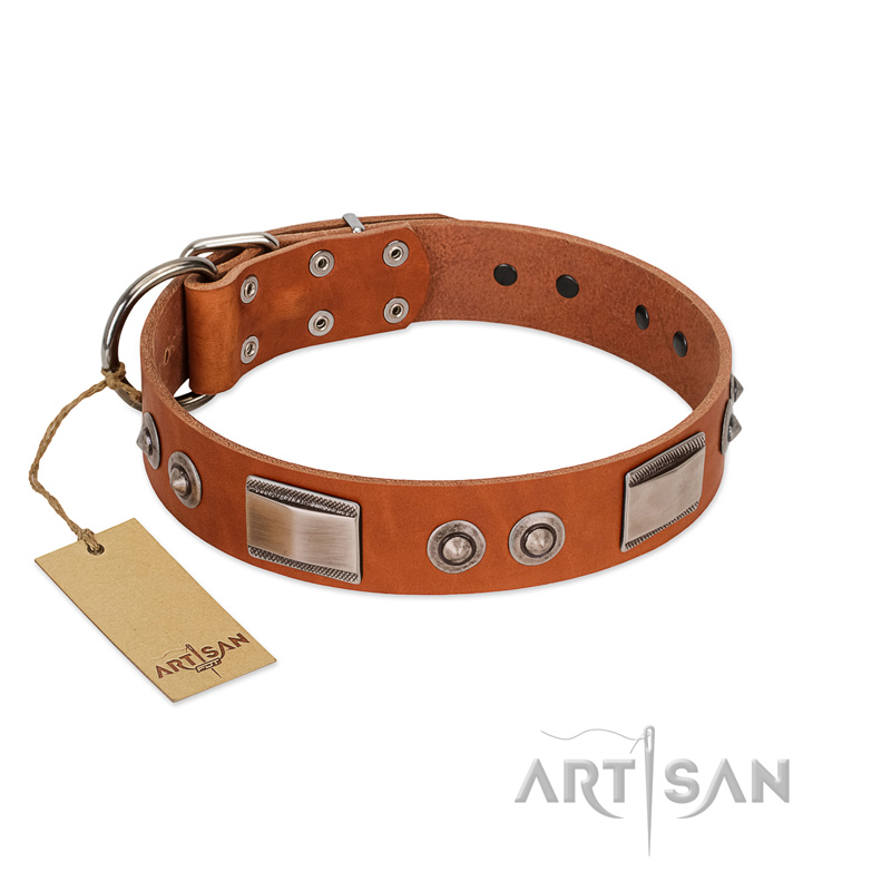 "Pawsy Glossy" FDT Artisan Exclusive Tan Leather Cane Corso Collar 1 1/2 inch (40 mm) wide