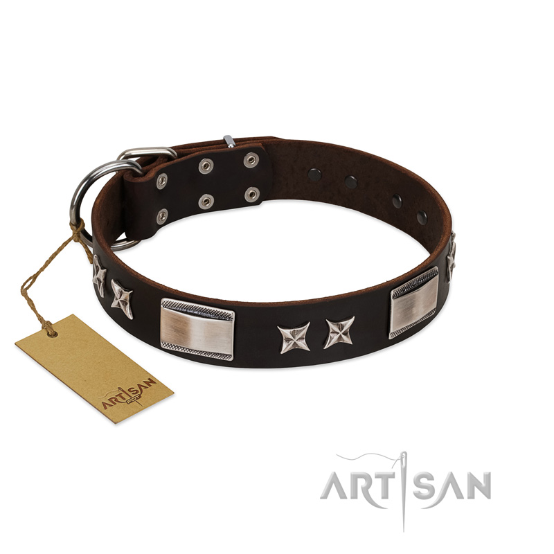 "Satin Beauts" FDT Artisan Brown Leather Cane Corso Collar with Stars and Plates