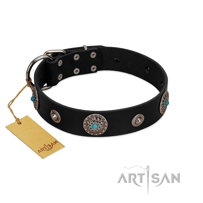 "Blue Gems" FDT Artisan Black Leather Cane Corso Collar with Chrome Plated Studs and Conchos