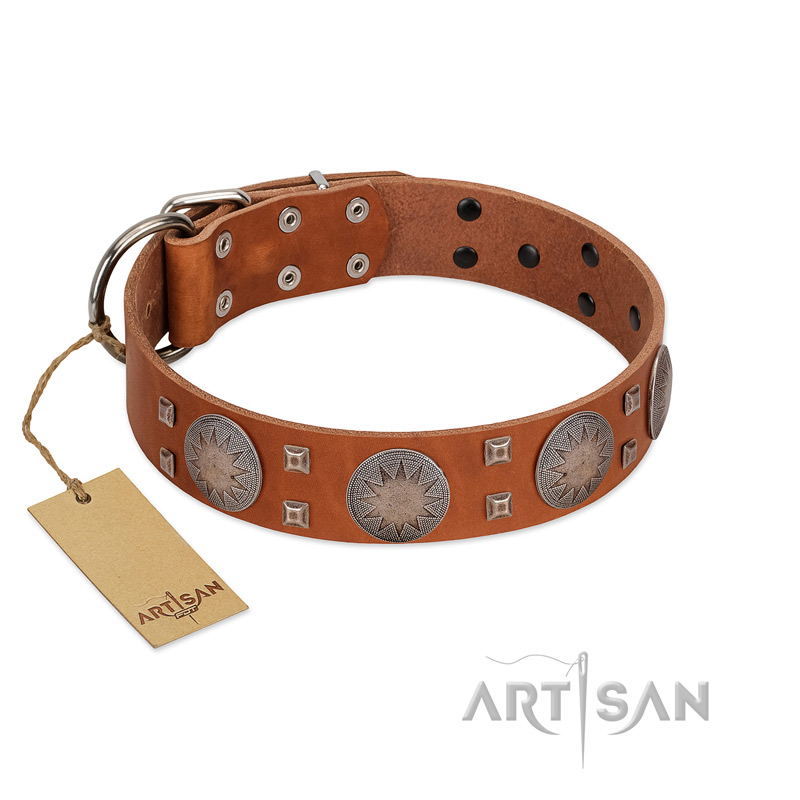 "Sun Rise Noon" FDT Artisan Tan Leather Cane Corso Collar with Unique Design