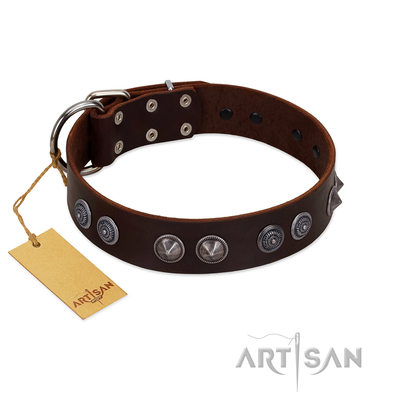 "King Arthur" FDT Artisan Brown Leather Cane Corso Collar with Spiky Plates