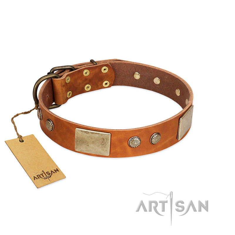 "Ancient Treasures" FDT Artisan Tan Leather Cane Corso Collar with Antiqued Plates and Studs - Click Image to Close