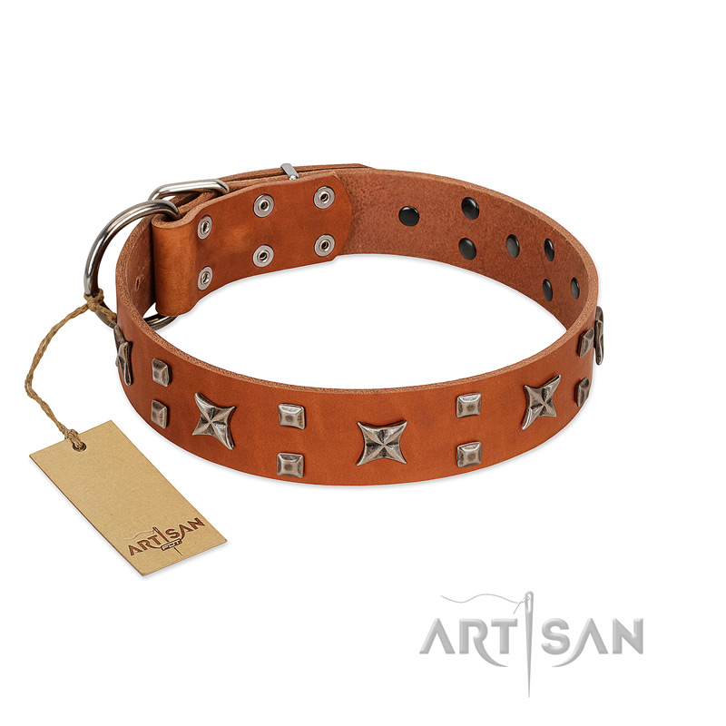 "Faraway Galaxy" FDT Artisan Tan Leather Cane Corso Collar Adorned with Stars and Squares