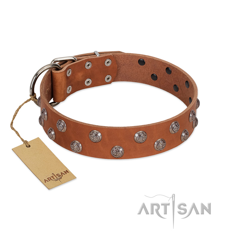 "Waltz of the Flowers" Handmade FDT Artisan Tan Leather Cane Corso Collar with Chrome-plated Engraved Studs