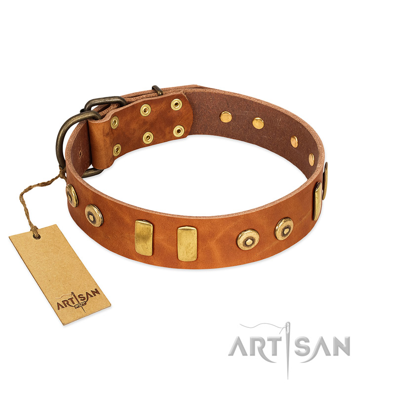"Egyptian Script" FDT Artisan Tan Leather Cane Corso Collar with Plates and Small Studs
