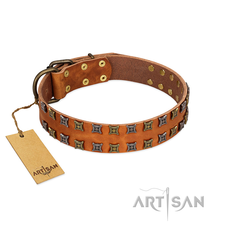 "Terra-cotta" FDT Artisan Tan Leather Cane Corso Collar with Two Rows of Studs