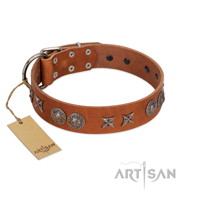 "Splendid Armor" Premium Quality FDT Artisan Tan Designer Cane Corso Collar with Shields and Stars