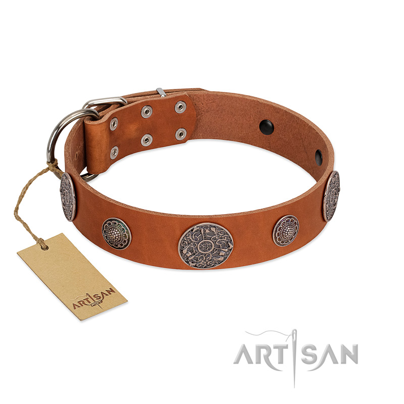 "Foxy Nature" FDT Artisan Tan Leather Cane Corso Collar with Chrome Plated Brooches