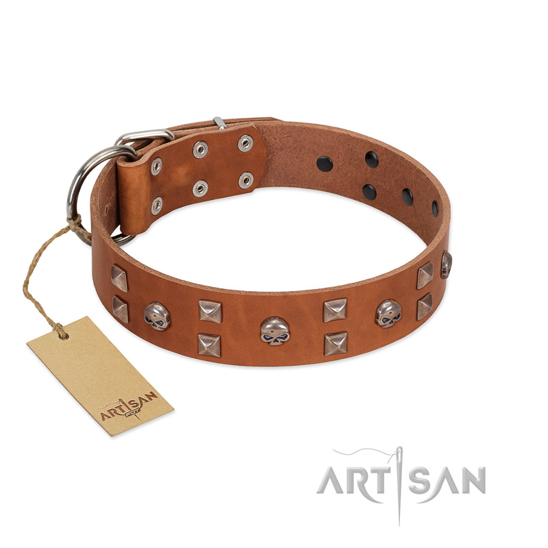 "Enchanted Skulls" FDT Artisan Tan Leather Cane Corso Collar with Chrome Plated Skulls