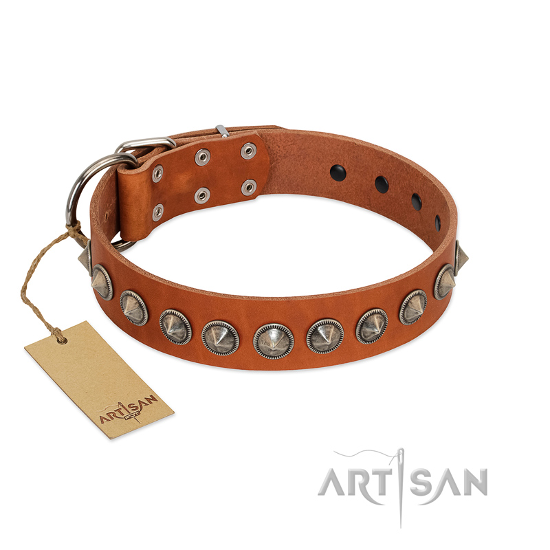 "Silver Spike" Handmade FDT Artisan Tan Leather Cane Corso Collar with Old Silver-Like Spikes