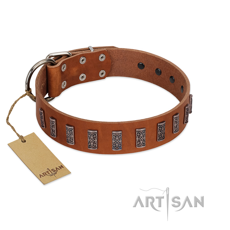 "Silver Century" Fashionable FDT Artisan Tan Leather Cane Corso Collar with Silver-Like Plates