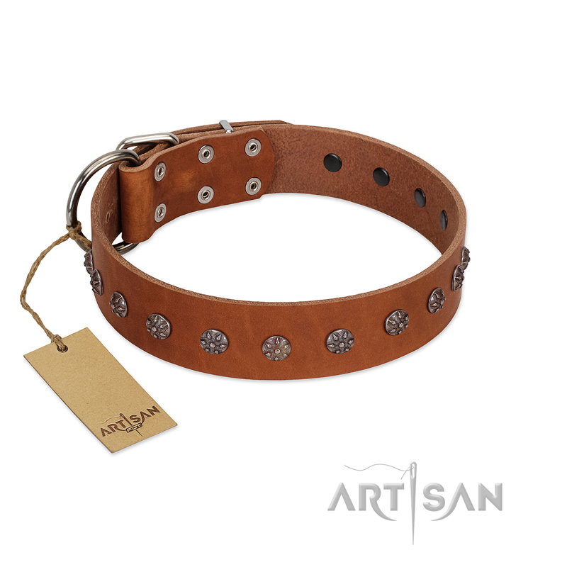"Daintiness" Designer Handmade FDT Artisan Tan Leather Cane Corso Collar with Silver-Like Adornments - Click Image to Close