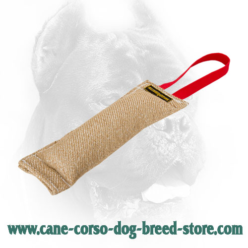 Dog Bite Tug Made of Jute