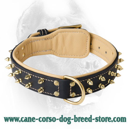 Unique Spiked Leather Dog Collar for Cane Corsos