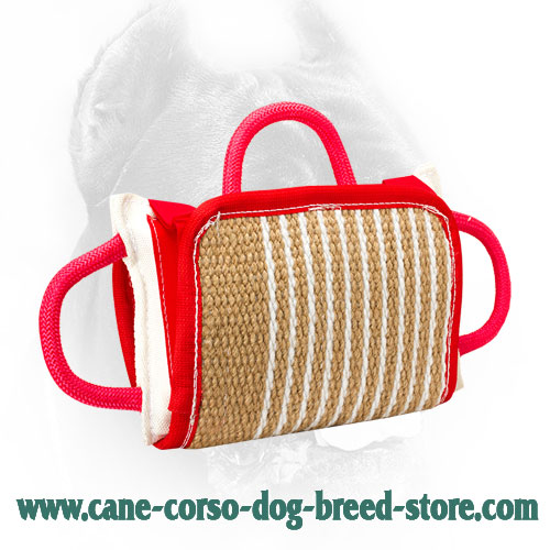 Training Cane Corso Bite Pillow with Removable Jute Cover