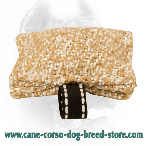 New Jute Bite Tug with Small Loop - Click Image to Close