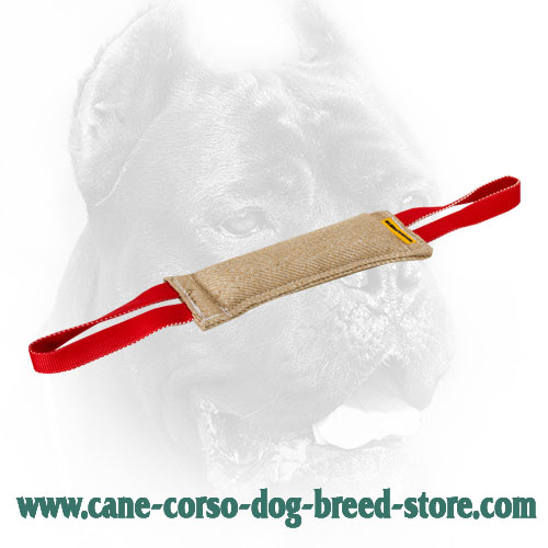 Cane Corso Dog Bite Tug Made of Natural Hypoallergic Jute Material