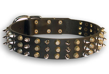 Leather Cane Corso Collar with 3 Rows of Studs and Spikes