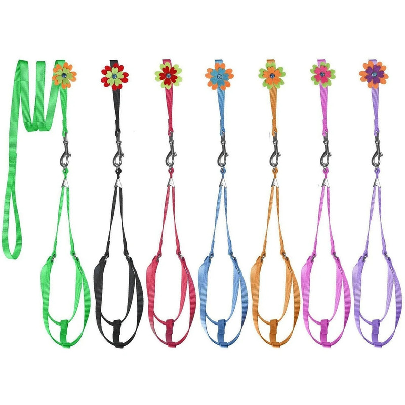 Step-In Nylon Harness + Optional Flower Leash - Click Image to Close