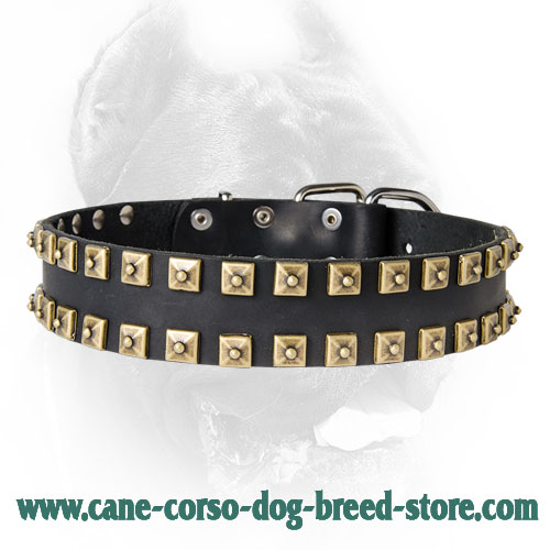 New Leather Dog Collar - Exclusive Fashionable Design - "Caterpillar"