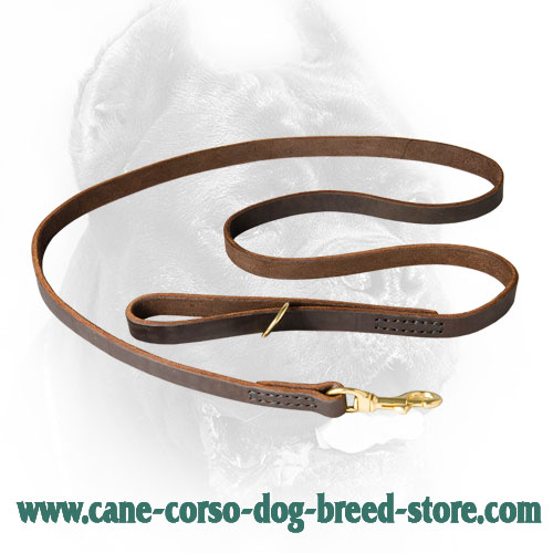 Classic Design Leather Dog Leash Hand Stitched