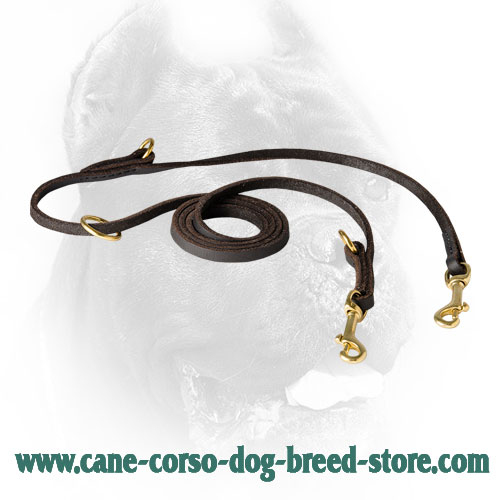 Extra Durable Leather Cane Corso Leash Meant for Various Dog Settings