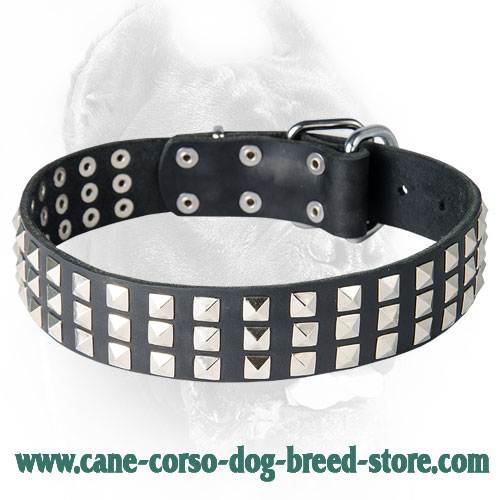 Silver Pyramid Studded Leather Dog Collar for Cane Corso
