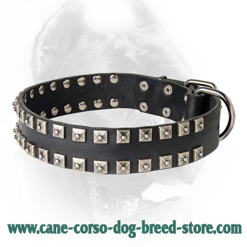 Fashionable Leather Dog Collar with Silverish Studs
