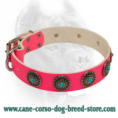 Stud Decorated Pink Leather Dog Collar for Walking