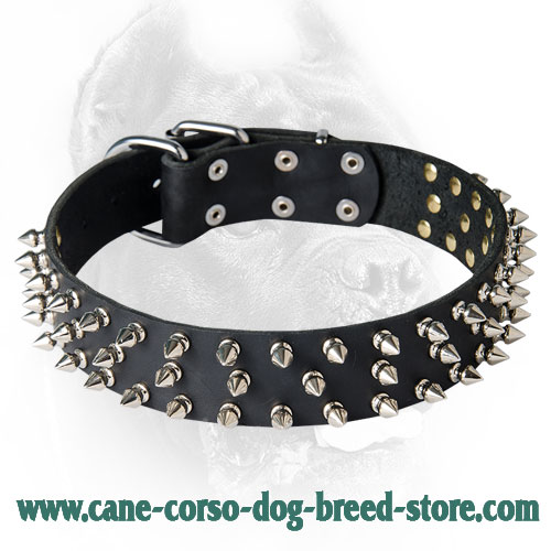 Wide Leather Spiked Dog Collar - Fashionable Design