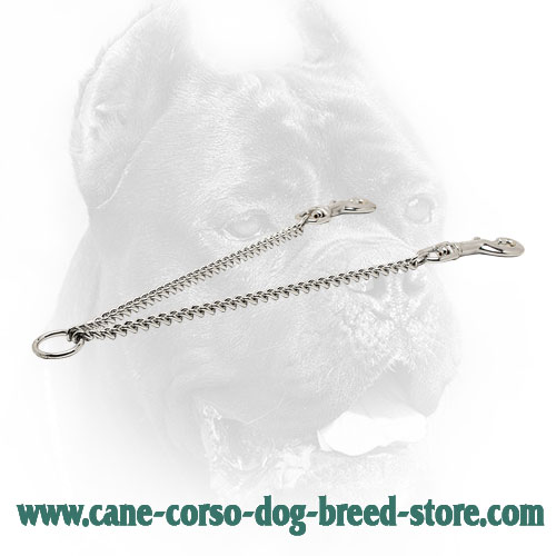 Durable Chrome Plated Cane Corso Coupler