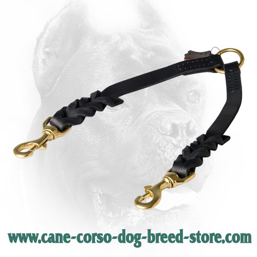 Cane Corso Coupler for Dog Walking