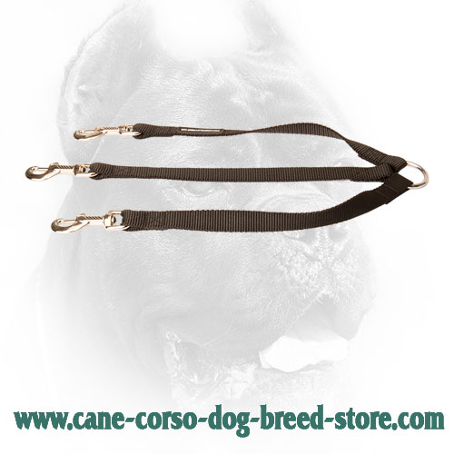 Extra Strong Triple Cane Corso Coupler