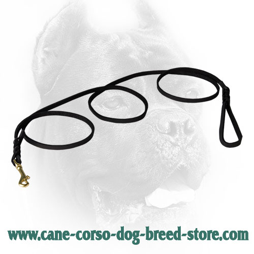 Cane Corso Leash with Elegant Braids