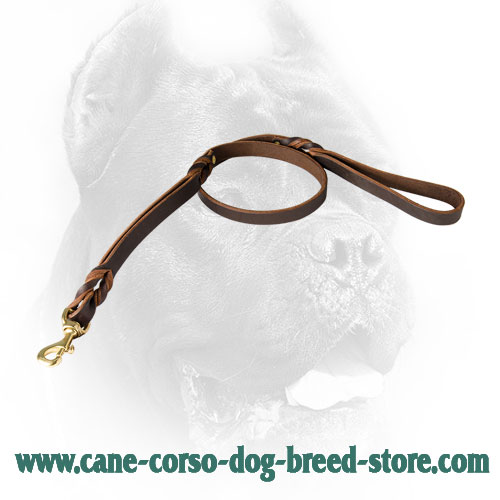 Cane Corso Leash with Decorative Braids